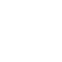 visionvest-web-icon